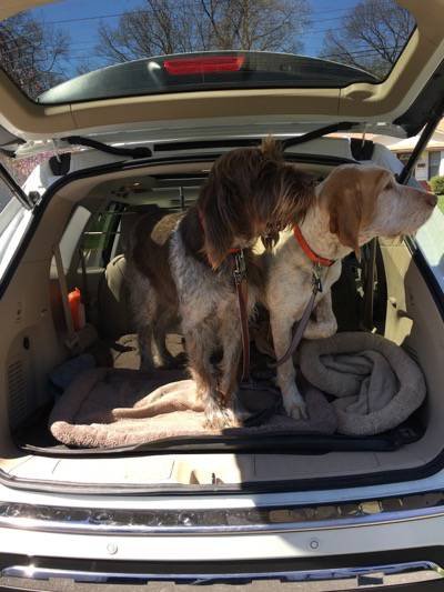 %sp-PT-lbc-image-1 -alt%