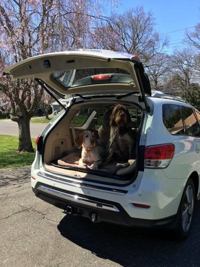 %sp-PT-lbc-image-2 -alt%