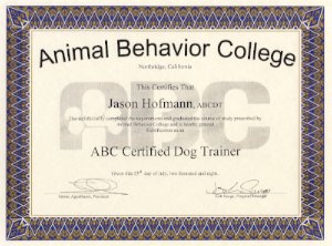 %sp-dt-lbc-image-1 -alt%