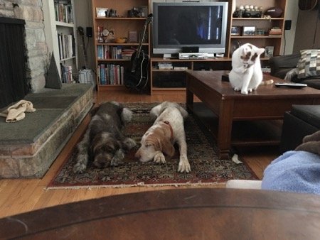 %sp-ps-lbc-image-1 -alt%